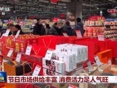 春节市场火热：生鲜年菜齐上阵，文旅活动乐翻天