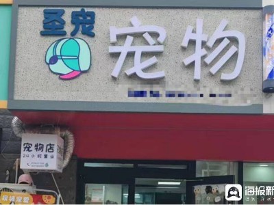 春节宠物寄养“一位难求”，价格普遍上涨仍供不应求