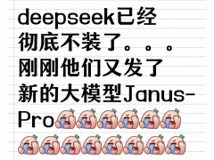 DeepSeek引发AI行业巨震，华尔街巨头市值蒸发，技术革新路在何方？
