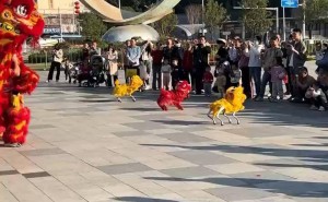 机器狗舞狮迎春，深圳南山区花市上演传统与科技融合新篇章