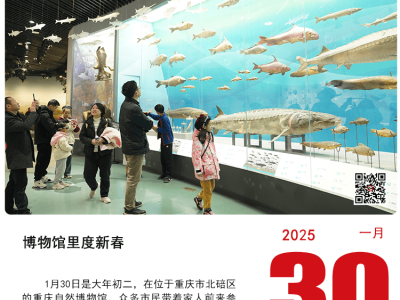今日视觉盛宴：上游新闻每日一图1月30日精选