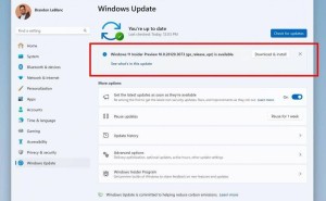 微软Win11 26120.3073预览版来袭：Dev与Beta频道切换开启，新功能抢先看