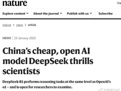 DeepSeek崛起改写AI版图，全球算力股动荡，美AI界如何应对新挑战？