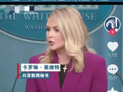 DeepSeek遭遇不公，中国企业与红客联盟共筑网络安全长城！
