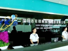 深圳跨境电商巨头陨落：有棵树如何从50亿年收入走向负债深渊？