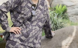 熊猫宝宝亮相，甘比母女巧遇钟镇涛全家，星二代友谊萌芽？