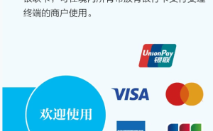 2025年春节假期支付数据出炉，银联网联交易金额创新高，外籍人士支付更便捷