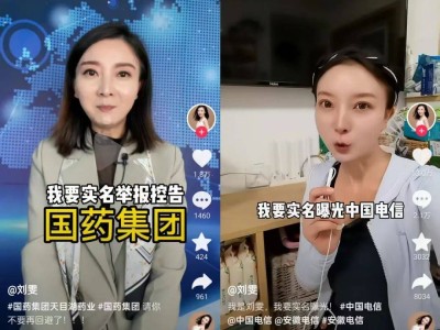刘雯流量江湖：以“正义”之名，行带货之实？