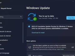 微软Win11补丁KB5050094：修Bug反添乱，更新需谨慎！