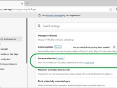 微软Edge 133稳定版上新：AI加持，恶意软件恐吓拦截器亮相