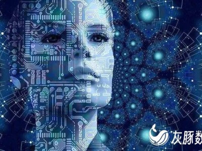 中国AI初创DeepSeek崛起，能否续写灰豚数字人传奇？