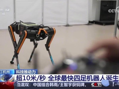 浙江大学研发“黑豹”四足机器人，刷新速度纪录达每秒10米