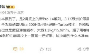 荣耀MagicBook Pro 14曝光：轻薄本新标杆，畅玩《黑神话》无压力？