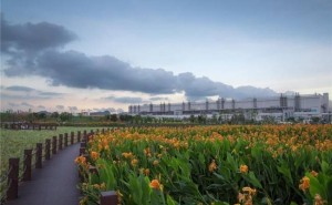 TCL科技CDP水安全获A-评级，ESG努力再获国际认可！