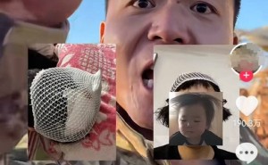 爱犬成网红，主人欲接回却遭百万违约索赔！