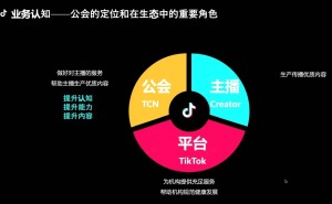TikTok海外公会2025：新兴市场红利持续，挑战与机遇并存？
