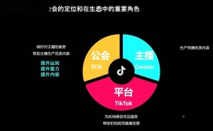 TikTok海外公会2025展望：红利期能否延续？挑战与新机遇如何平衡？