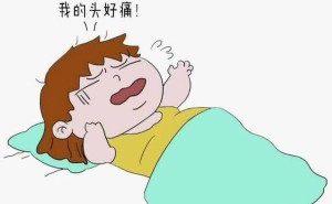 宠物净化器哪家强？五款高效吸猫毛神器大揭秘！