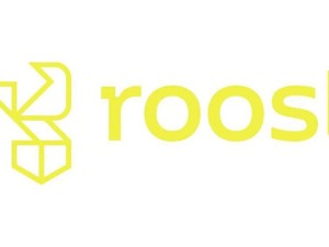 AI巨头联手成立ROOST，共筑儿童网络安全新防线