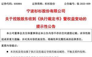 杉杉股份风云再起：周婷短任董事长后卸任，业绩预亏市值大跌近八成