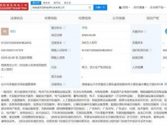 奔驰宝马联手，湖南新能源科技公司启航，涉足AI软件开发