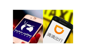 小红书个人IP塑造秘籍：真实内容+多元形式，种草推广的制胜法宝！