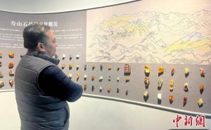福州“灵蛇舞春”寿山石雕展，市民游客争相观赏