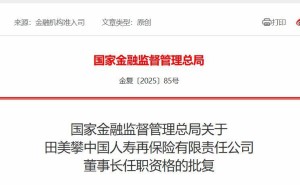 田美攀正式出任中国人寿再保险董事长，曾任南开教师及中再集团总精算师