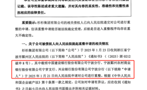杉杉控股债务压顶，80后女董事长周婷卸任，家族成员接棒能否力挽狂澜？