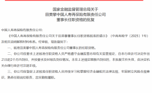 田美攀获准出任中再寿险董事长，金融保险领域再添新帅