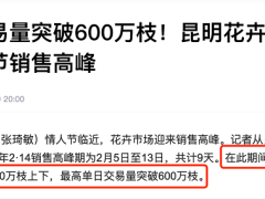 顺丰同城情人节“浪漫急送”，全场景赋能高品质即时配送体验