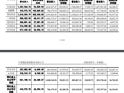 轮胎巨头冲刺IPO，63岁宁波富豪资本版图再扩张