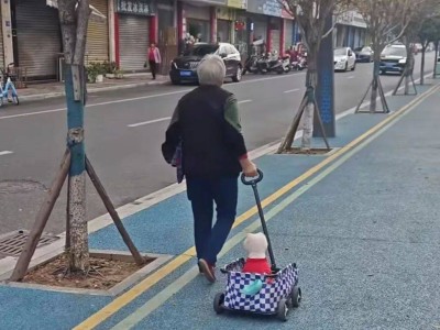 小城“毛孩子”热：宠物经济在下沉市场迎来爆发