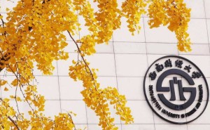 西南财经大学2+2国际本科，真的适合你吗？提前了解，占位未来！