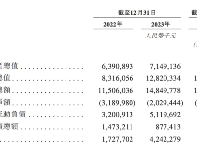 奥克斯港交所之路：高增长下的负债重压与技术短板如何应对？