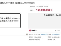 汇友相互16.67%股权拍卖偿债遇冷，长安保险持股流拍引关注