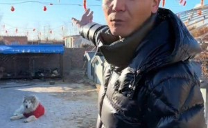 潘宏扩建训狗基地急复出，网友怒批：赚黑心钱还想洗白？