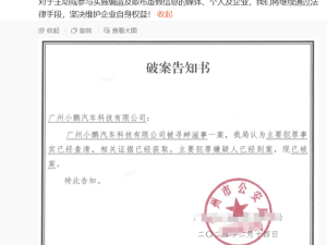 小鹏汽车：造谣自动驾驶判决者到案，持续追责不散播谣言者