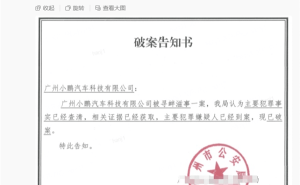 小鹏汽车：造谣自动驾驶判决者到案，持续追责不散播谣言者