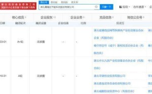 嘉辐达IPO进程曝光：80后海归张洋掌舵，股东阵容含湖北高投鼎龙股份