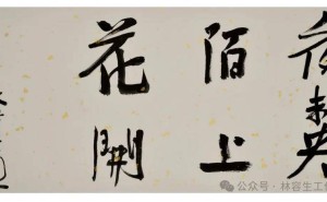 林容生书法小品展“沐春风2025”福州启幕，水墨韵味醉人心