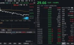 《哪吒2》热映后遇冷，光线传媒市值暴跌近149亿！股市风险再敲警钟