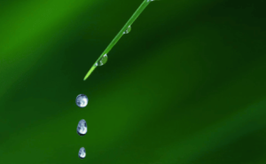 雨水节气至，春雨绵绵润心田，万物复苏绘希望画卷