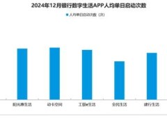 2024年银行数字生活服务平台：用户行为揭秘与流量新趋势