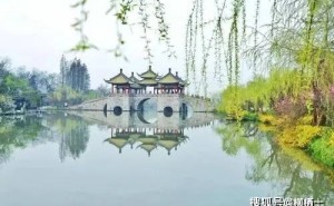 面对流言，我们该如何自处？