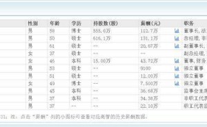 阿尔特2024年预亏上亿，59岁日籍董事长宣奇武领航出海战略寻转机