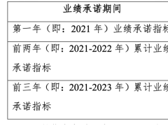 业绩不达标还拒回购？深赛格将子公司业绩承诺方告上法庭