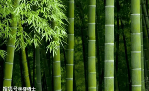 高三二轮复习：决战时刻，你准备好了吗？