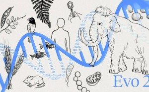 AI新突破！英伟达等发布生物学最大模型Evo 2，助力新药研发