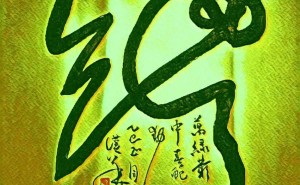 书坛新秀何汉华斗笔草书，春蛇舞动纸上生韵！